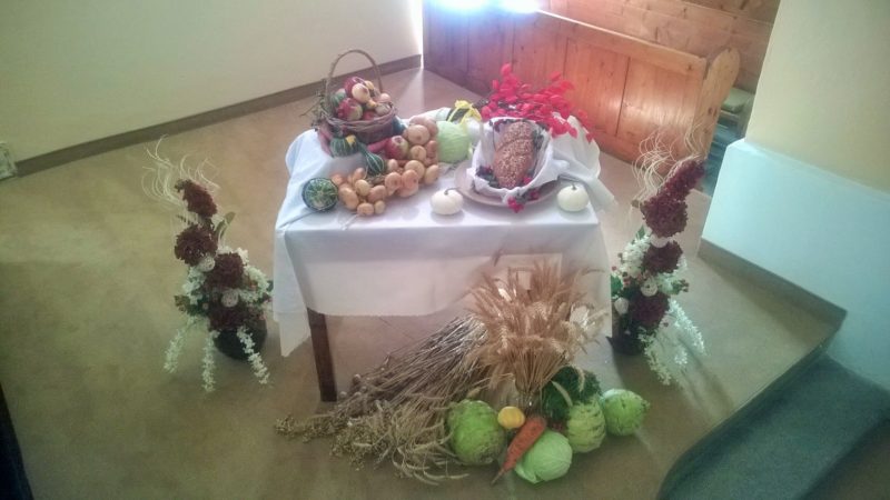 podakzaurodu2016